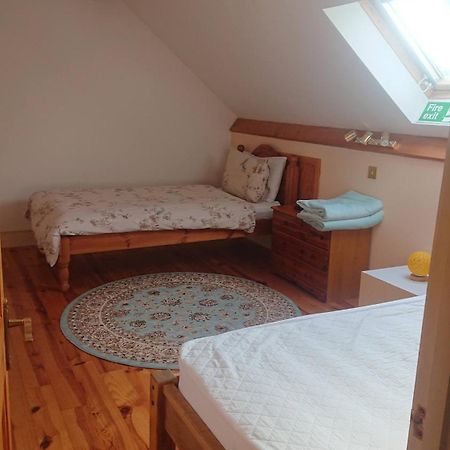 The Barn Annexe, Cefn-Yr-Allt Crickadarn المظهر الخارجي الصورة
