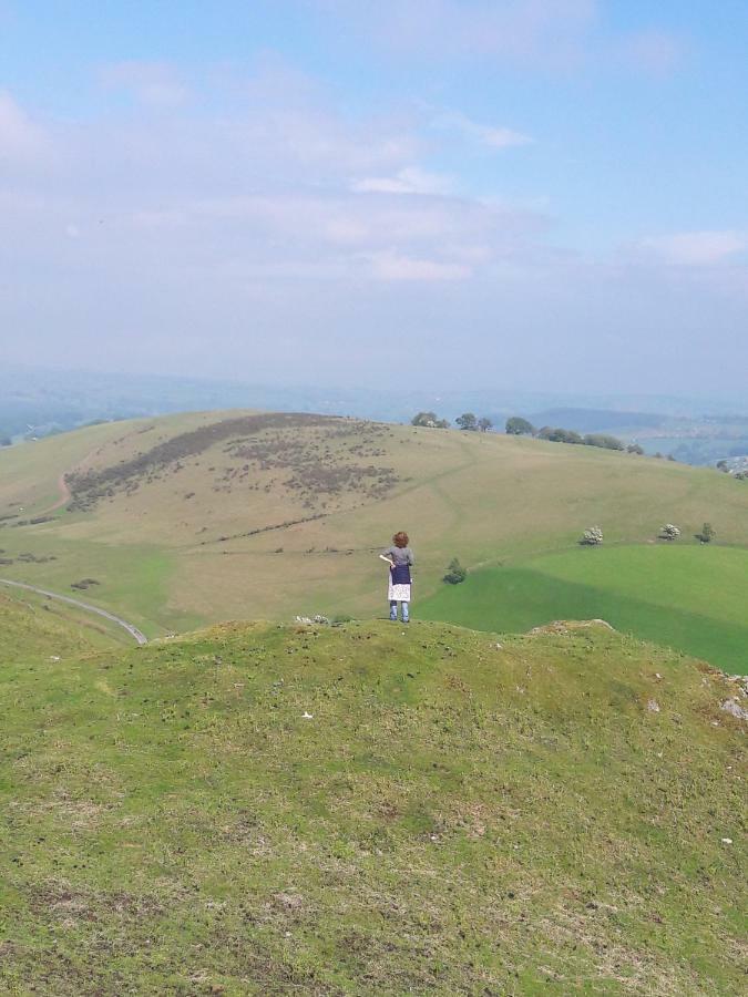 The Barn Annexe, Cefn-Yr-Allt Crickadarn المظهر الخارجي الصورة